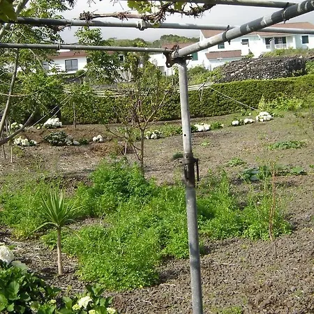Silveira'S Home Lajes do Pico Exterior photo