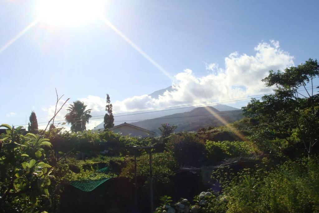 Silveira's Lajes do Pico