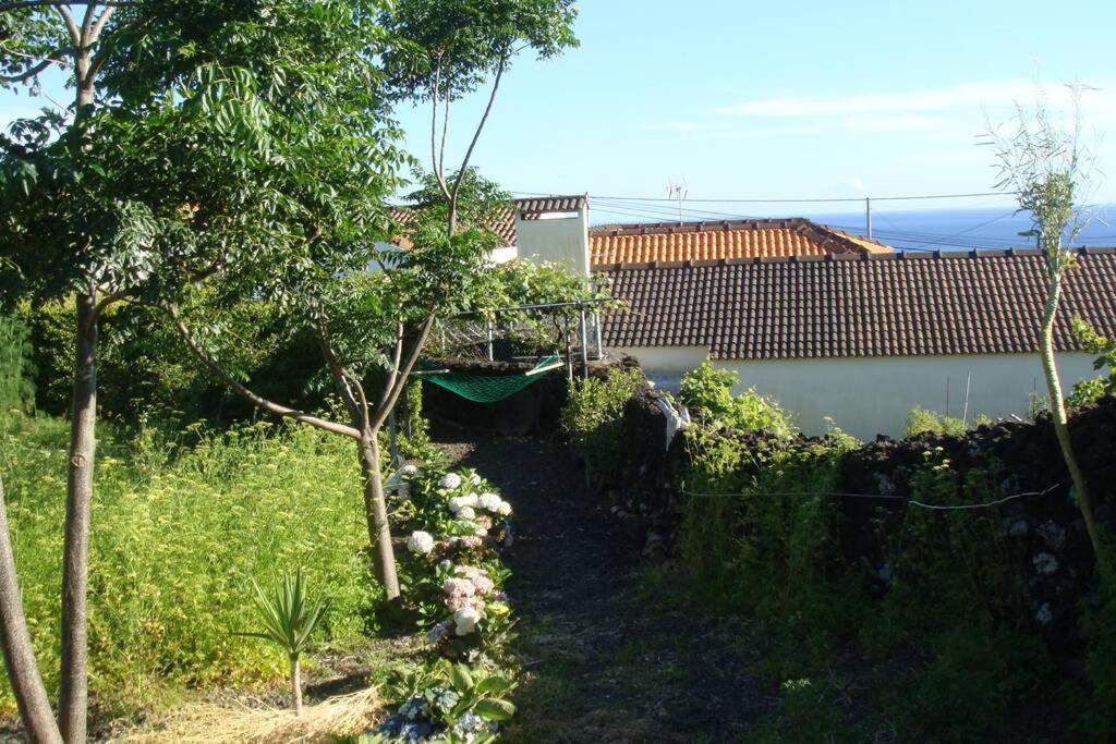 Silveira's * Lajes do Pico